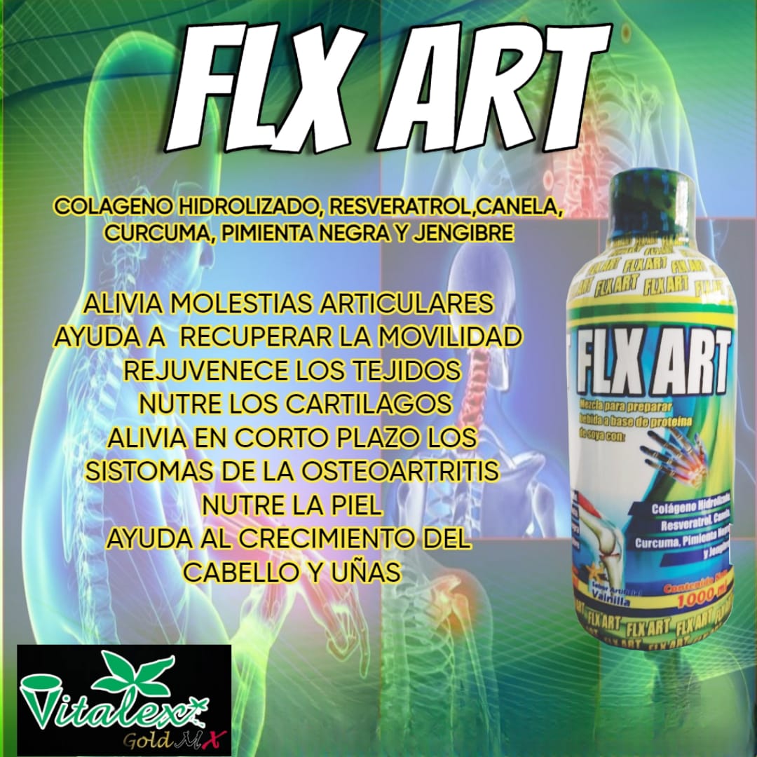 FLX ART